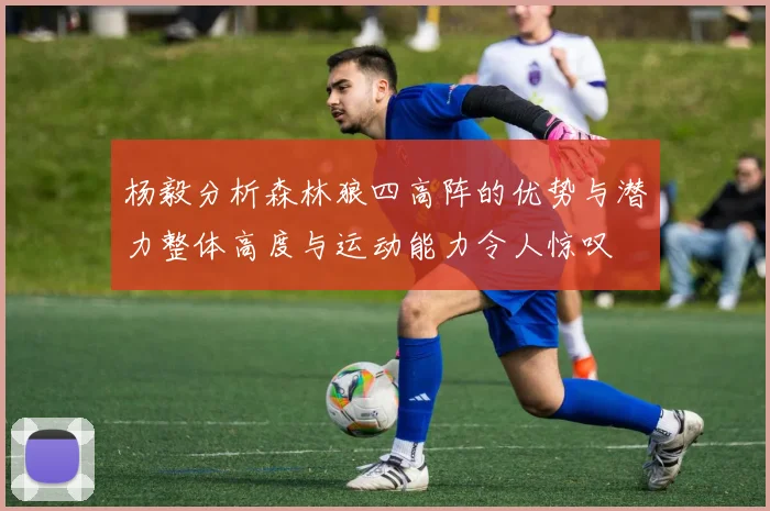杨毅分析森林狼四高阵的优势与潜力整体高度与运动能力令人惊叹